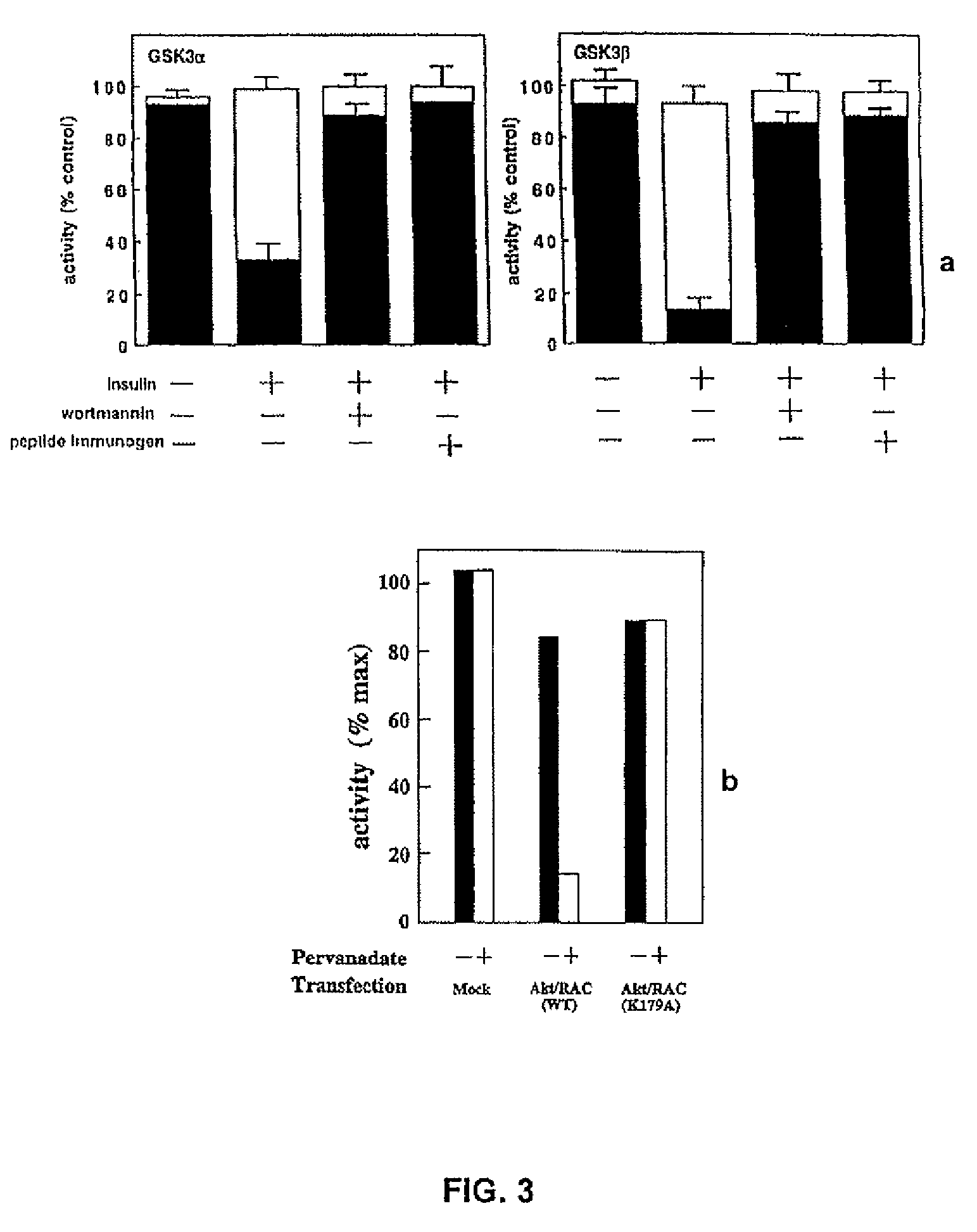 Activation of mutated RAC-PK