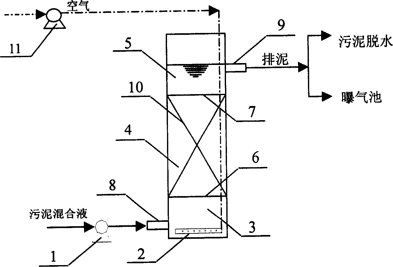 Vertical flow composite type biological sludge minimization reactor and its operation method