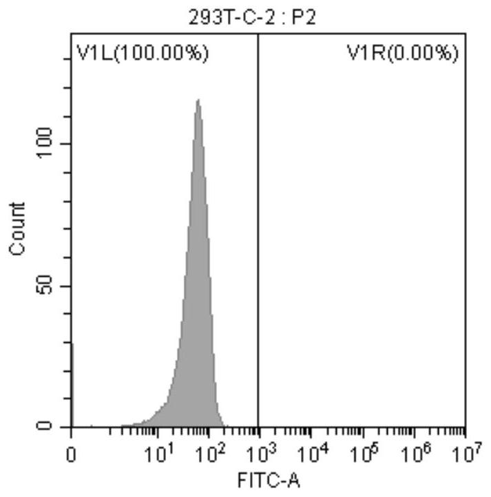 Monoclonal antibody targeting human claudin18.2 protein and its application