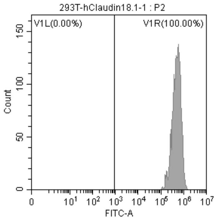 Monoclonal antibody targeting human claudin18.2 protein and its application