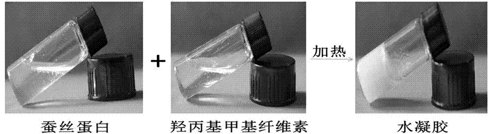 Silk protein/cellulose derivative blending hydrogel and preparation method thereof