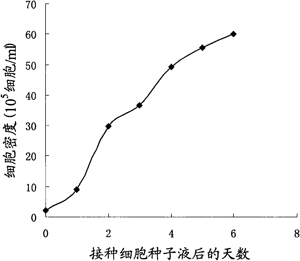 Method for producing rabies viruses by suspension culture of BHK21 cells