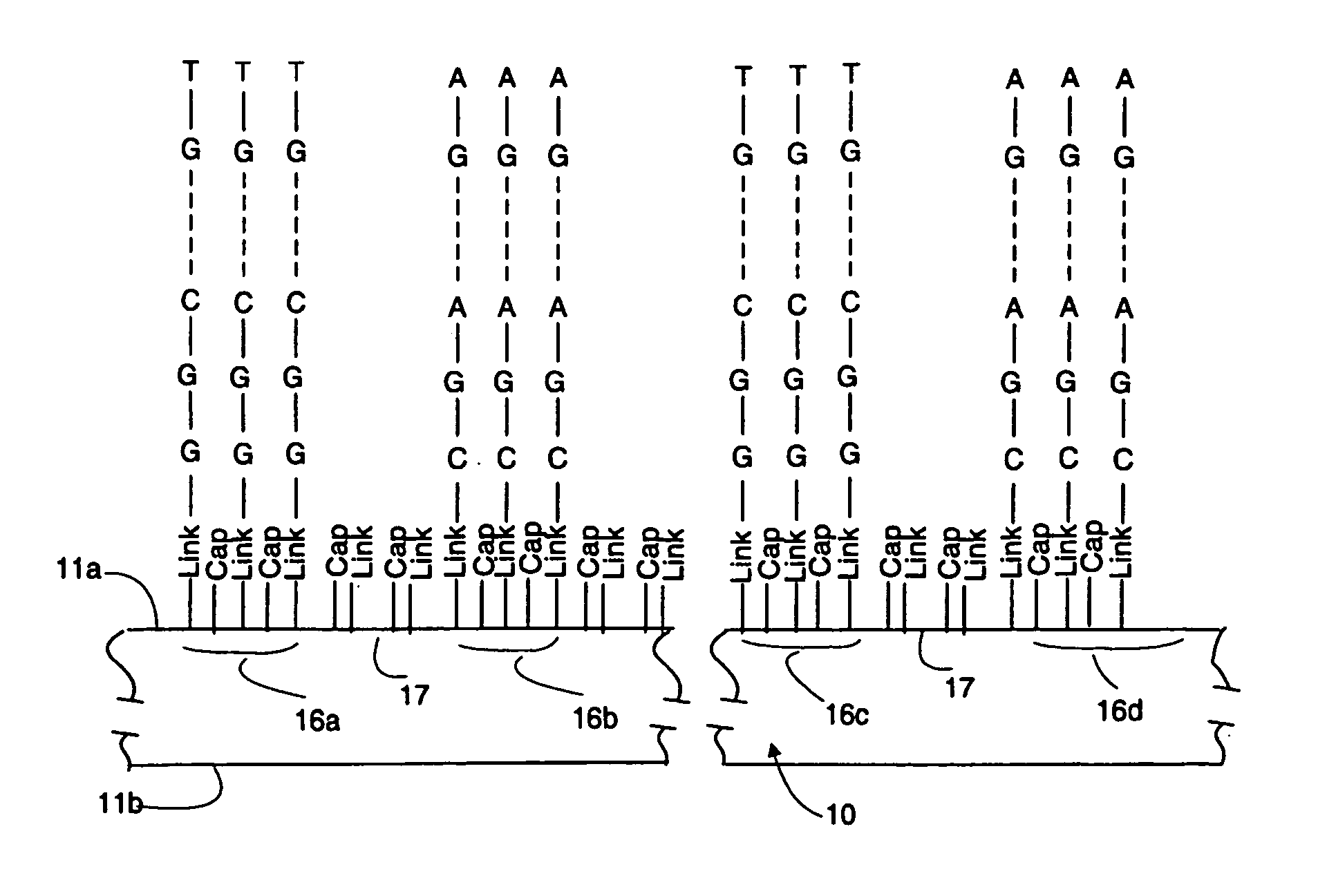 Chemical arrays on a common carrier