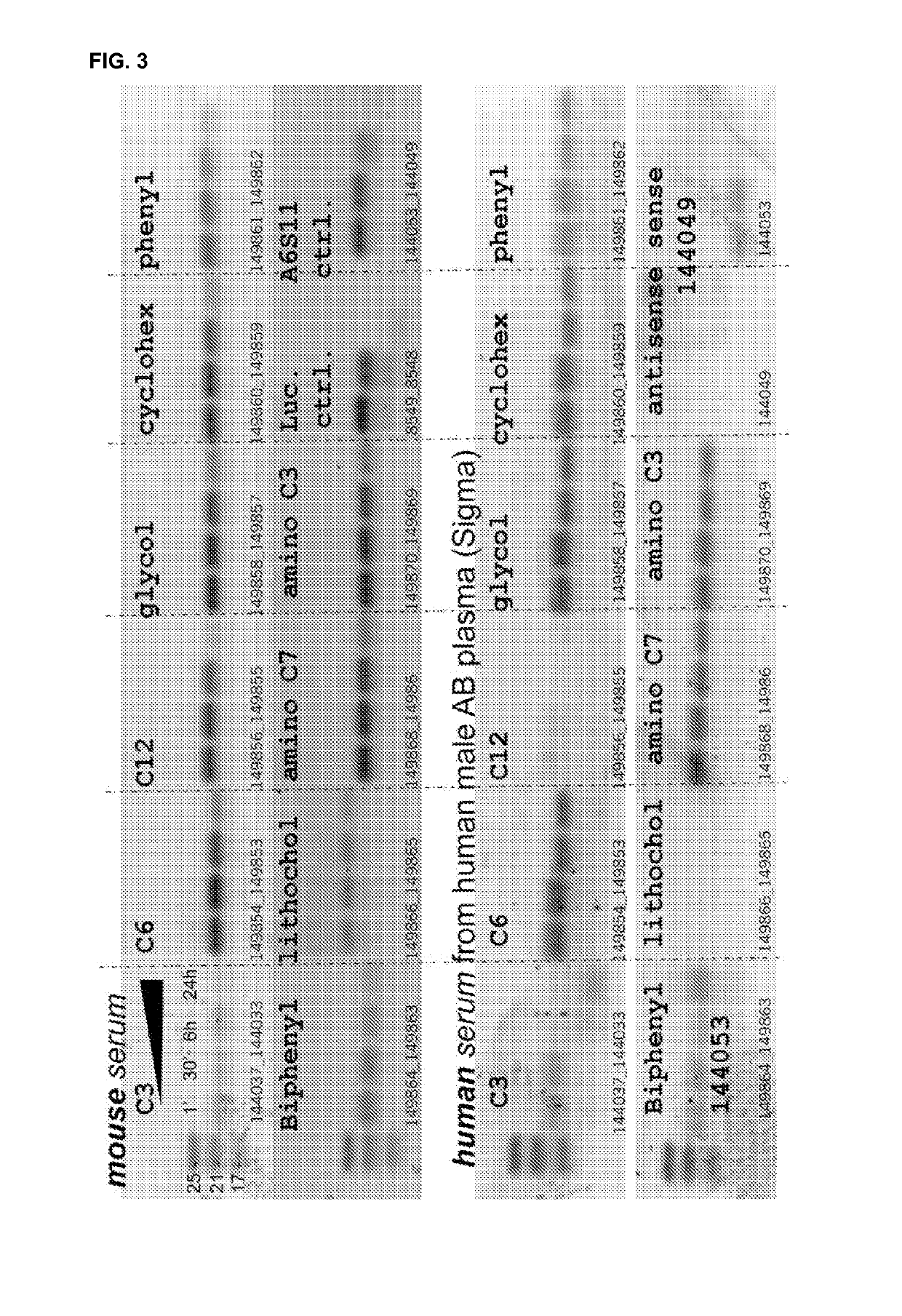 Organic compounds to treat hepatitis B virus