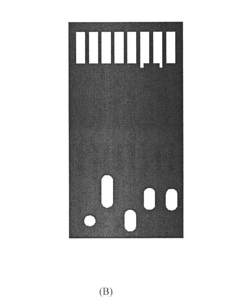 Multi-parameter water quality monitoring integrated microarray electrodes and preparation method
