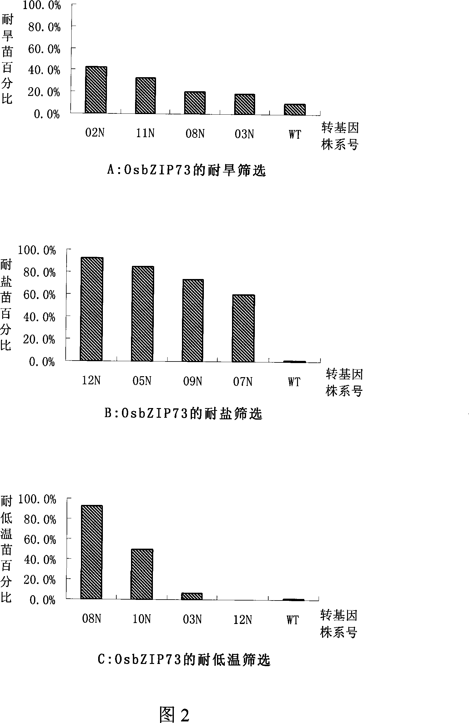 Rice bZIP and application of the same in improving stress tolerance of plants