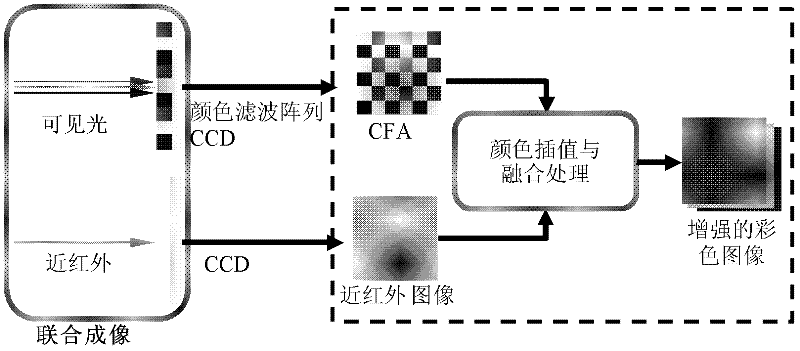 Color image processing method and device based on interpolation and near infrared