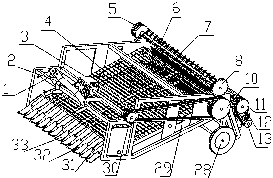 A rhizome Chinese medicinal material harvester for rolling and removing soil