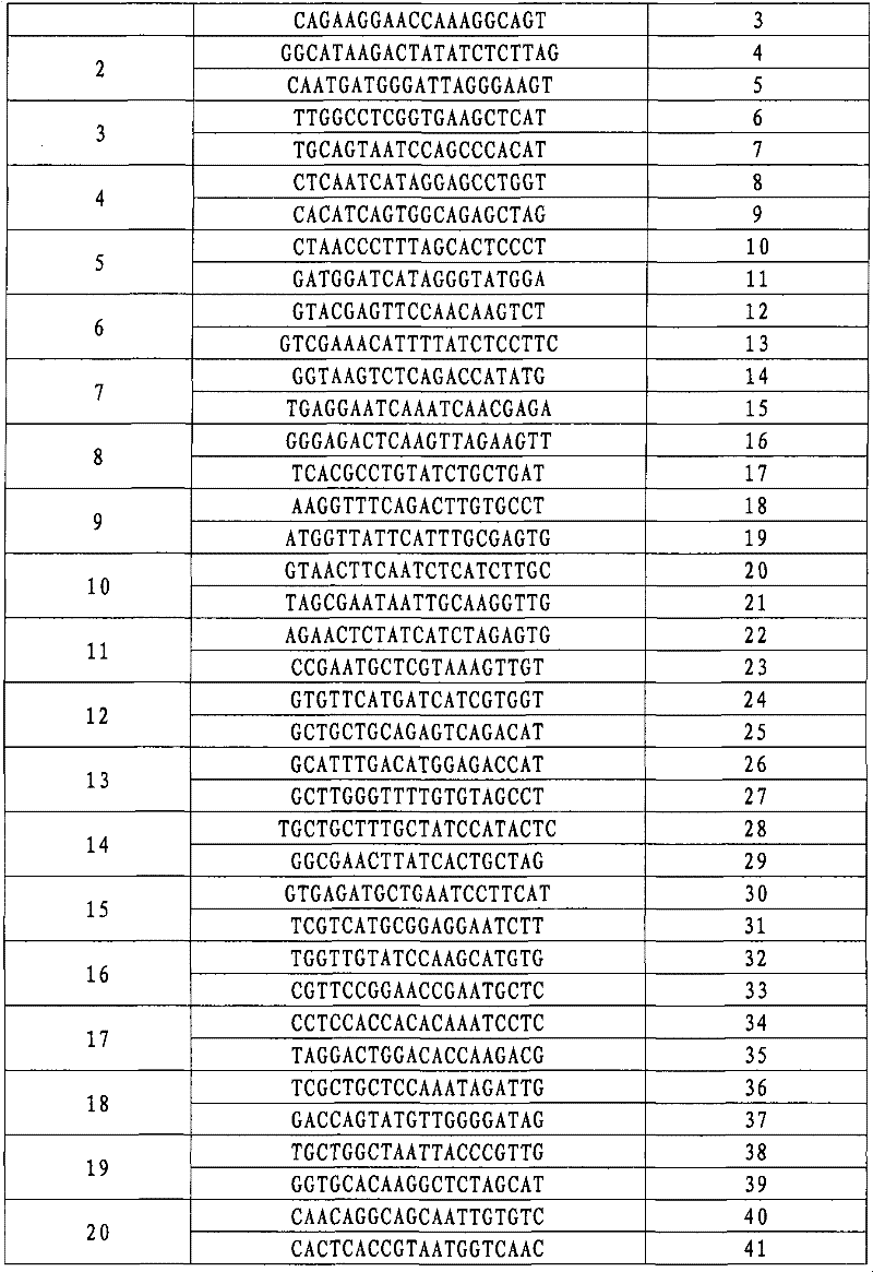 Molecular marker SIsv1223 closely linked with millet herbicide-resistant gene