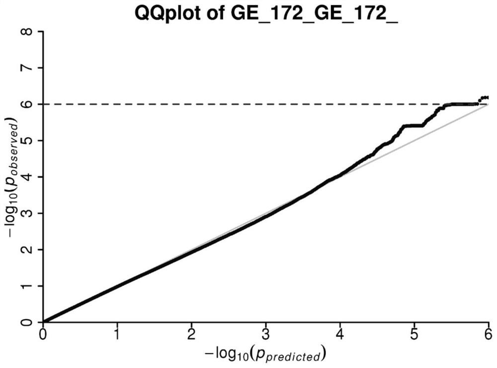 Molecular marker closely linked with vigor character of sweet corn seeds and application