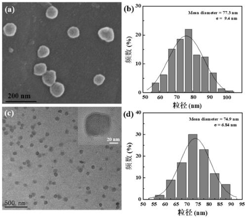 Macrophage-mediated drug-loaded hyaluronic acid nanohydrogel and preparation thereof