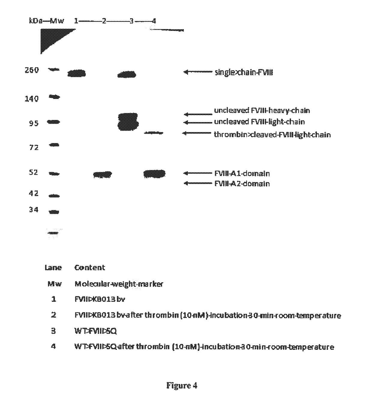 Anti-vwf d'd3 single-domain antibodies and polypeptides comprising thereof