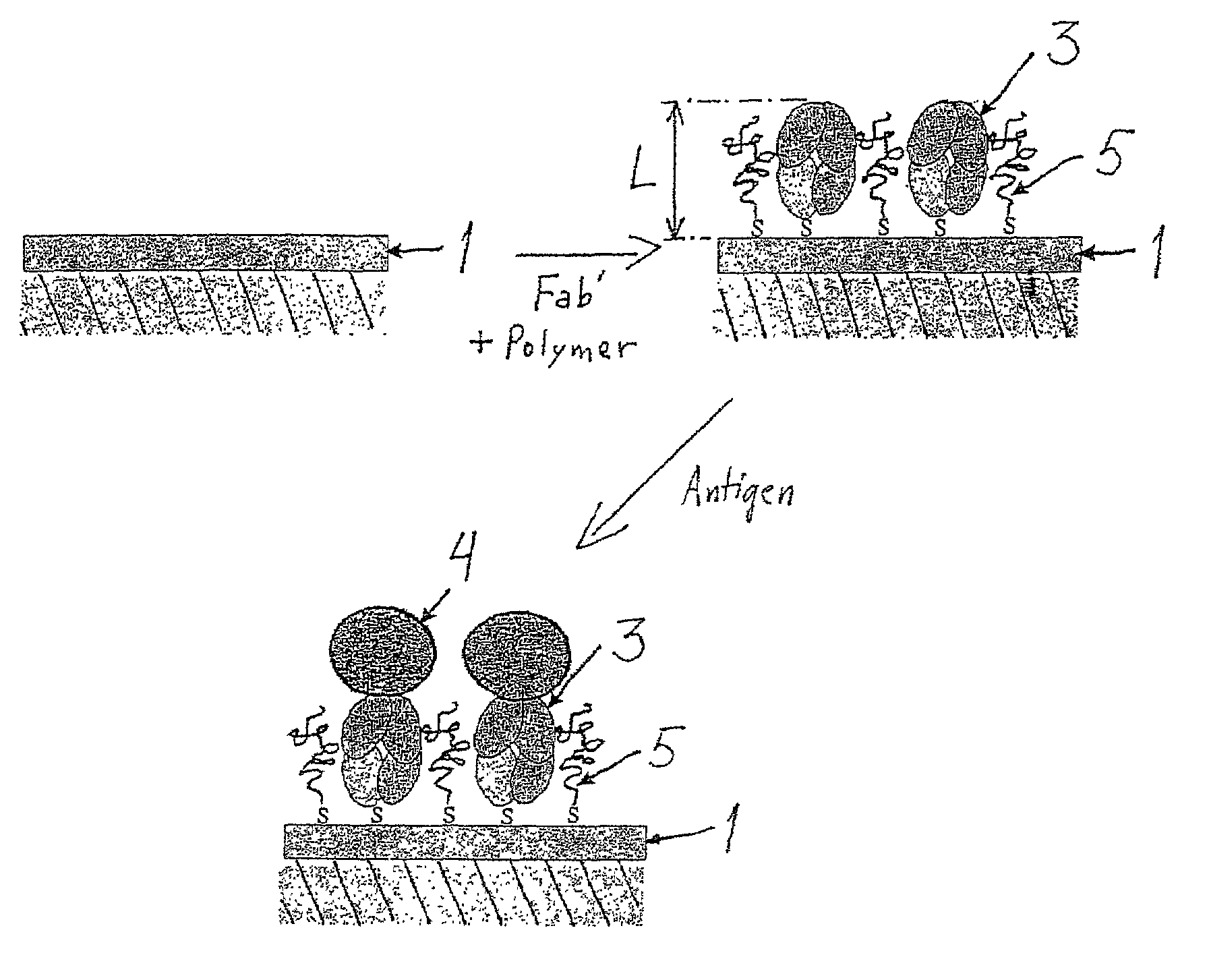 Method and biosensor for analysis