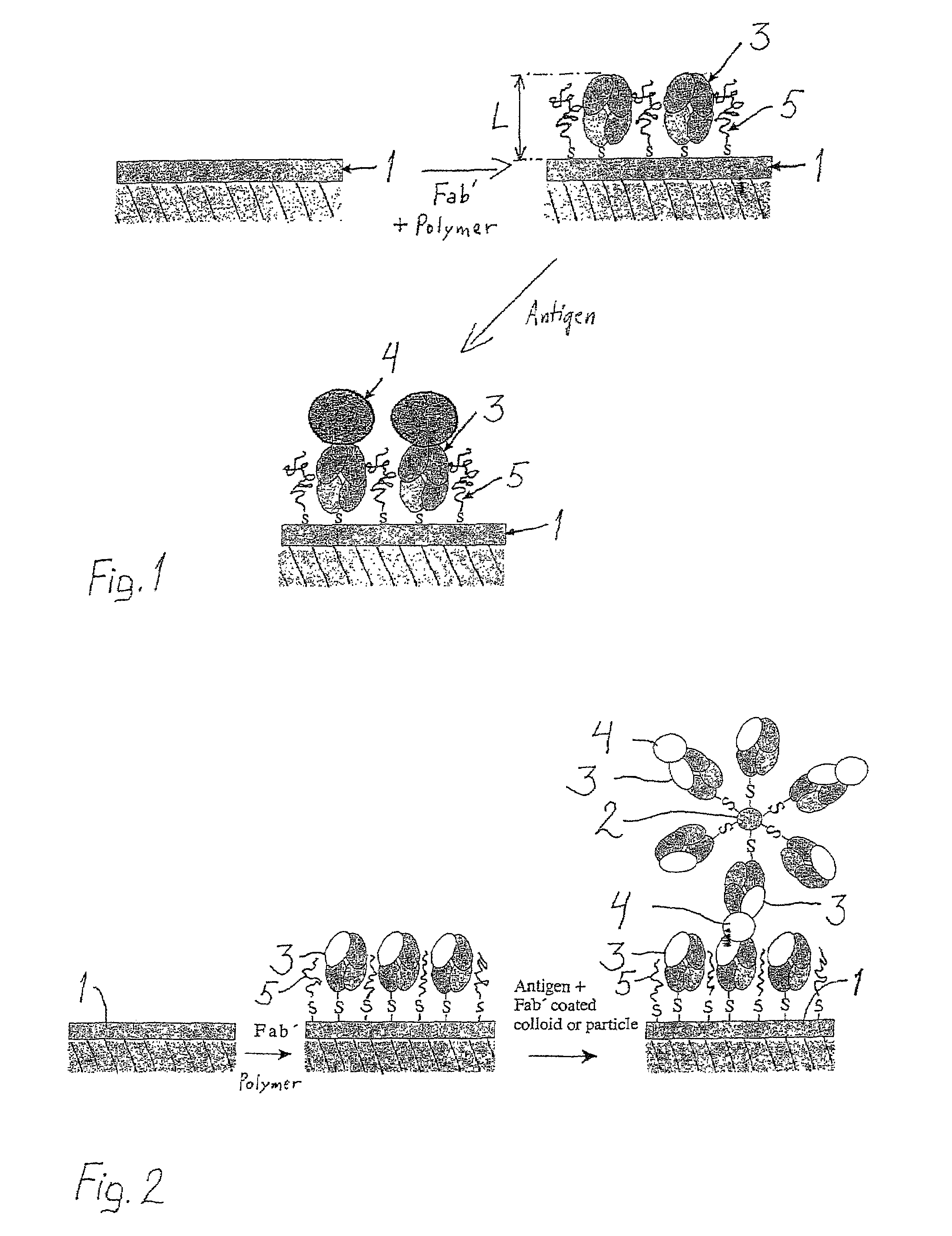 Method and biosensor for analysis