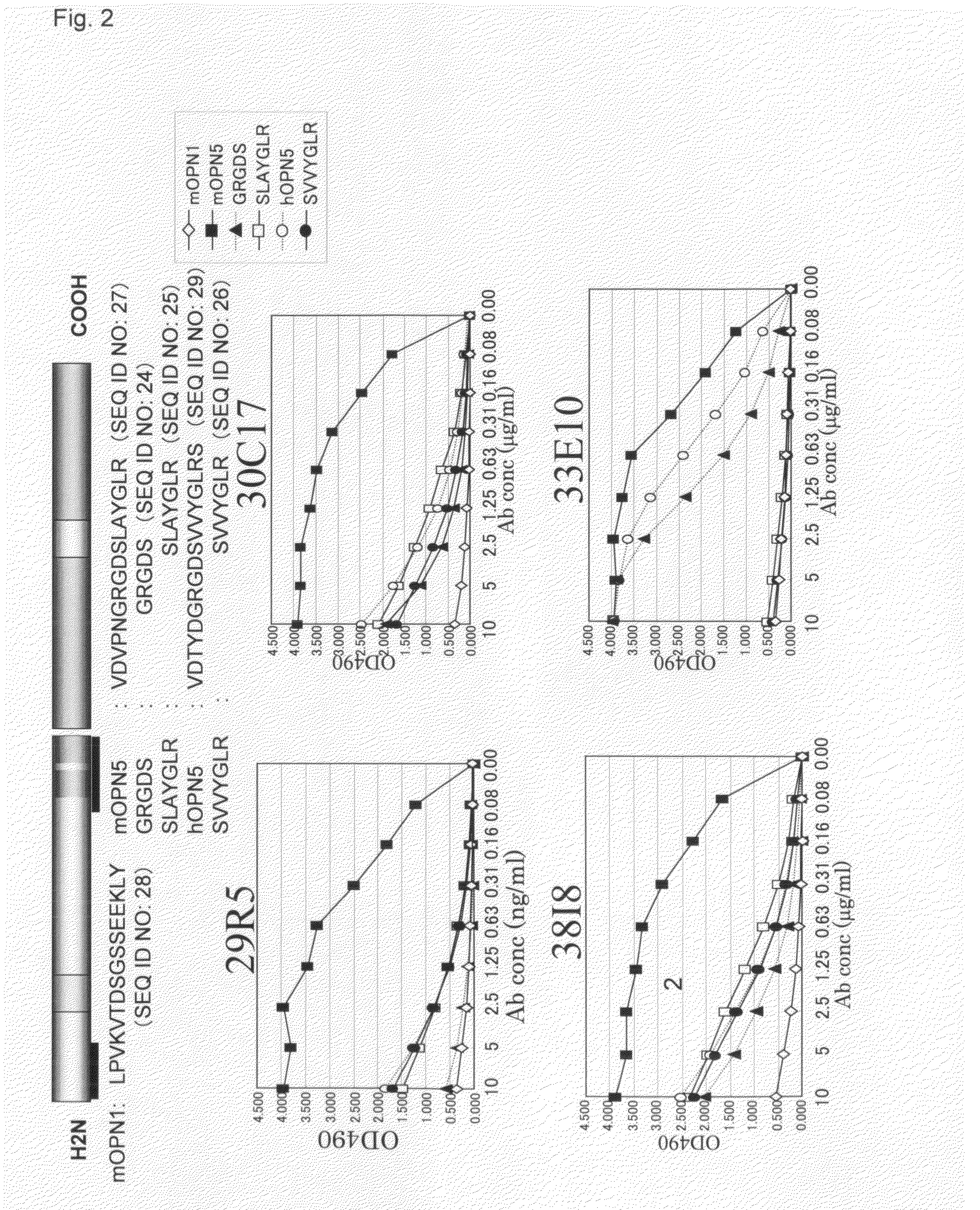 Antibody against rgd in amino acid sequence of extracellular matrix protein and production method and use of the same