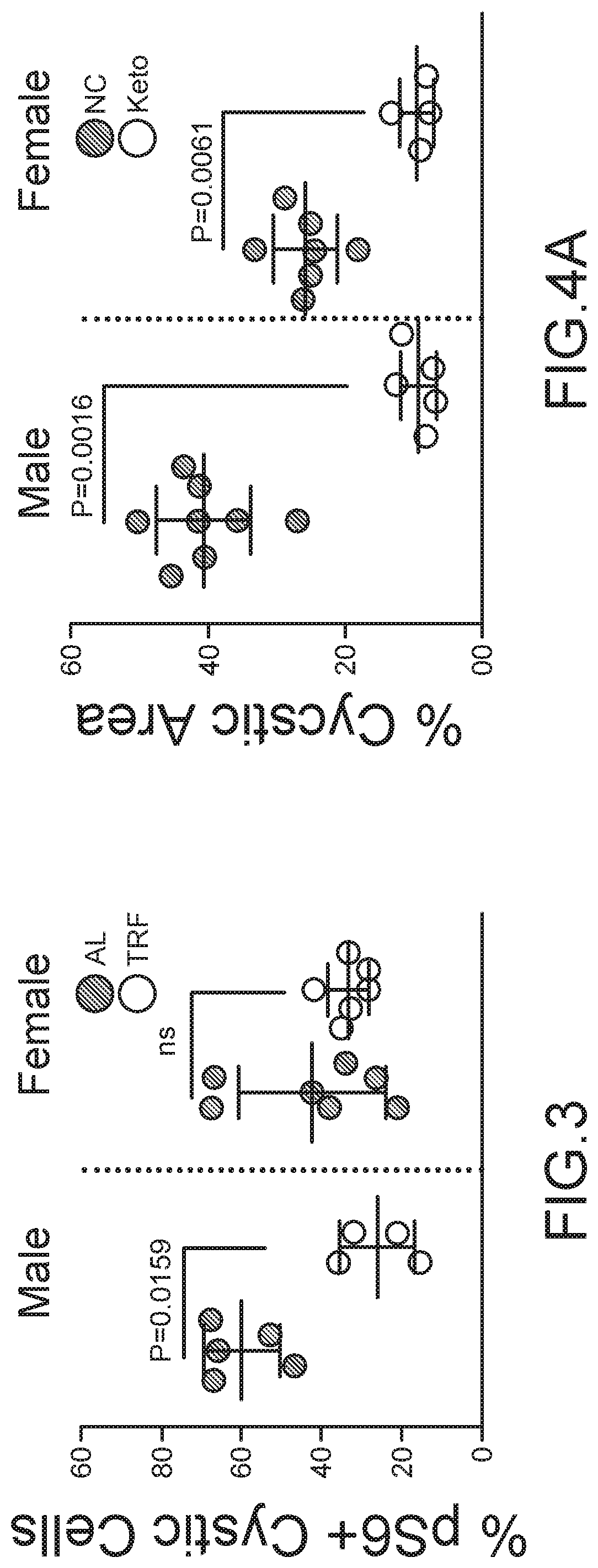 Methods and Compositions for Supporting Renal Health
