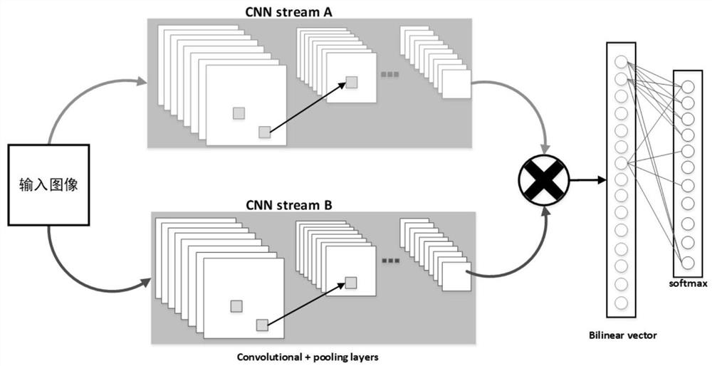 Rapid identification method based on fine-grained image classification