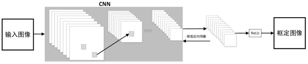 Rapid identification method based on fine-grained image classification