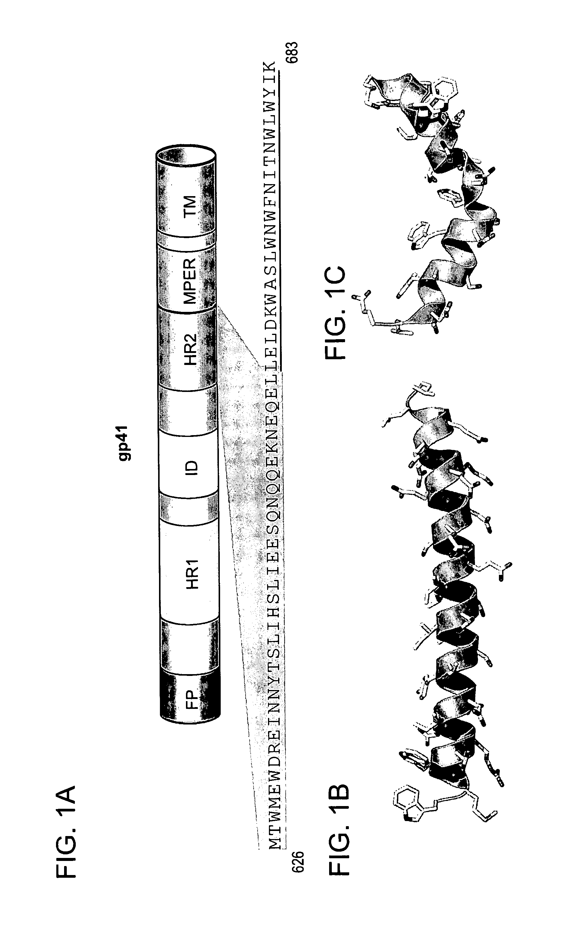 Structured viral peptide compositions and methods of use