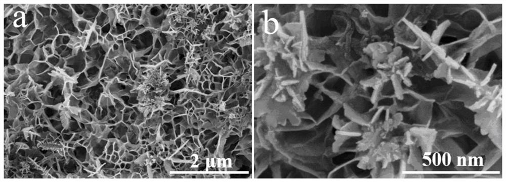 Double-carbon oxygen-carrying copper-cobalt sulfide spinel type carbon material as well as preparation method and application thereof