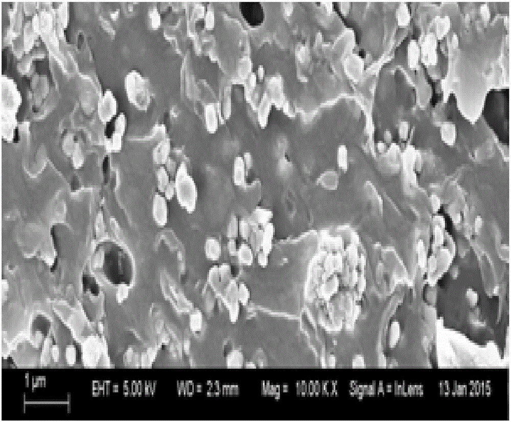 Nanometer filler for abrasion-resistant coatings and method for preparing nanometer filler