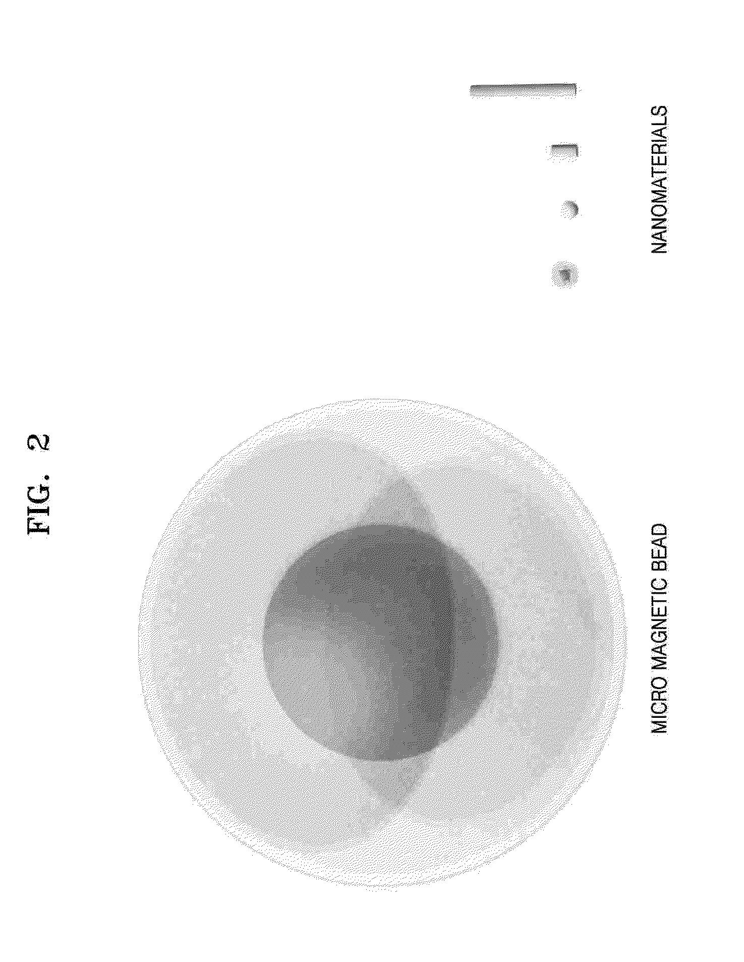 Method and apparatus for disrupting cells and amplifying nucleic acids using gold nanorods