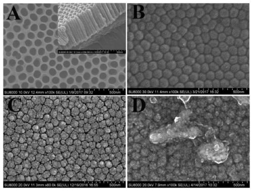 Fabrication method of flexible sers substrate and its application for specific detection of pat