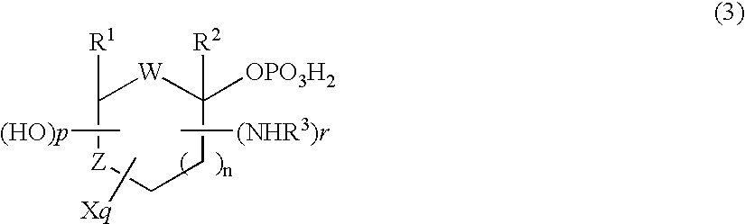 Process for selectively producing 1-phosphorylated sugar derivative anomer and process for producing nucleoside