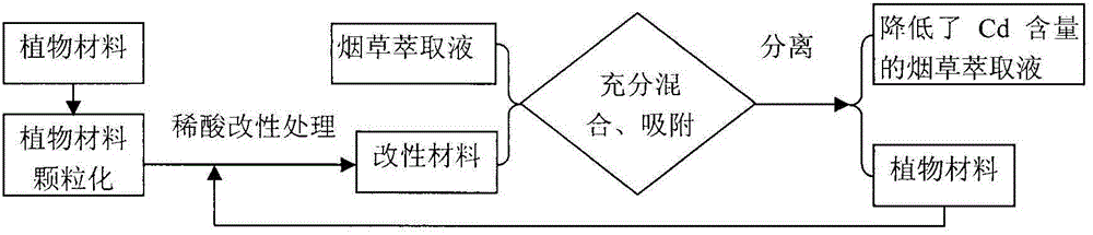 Plant material adsorbent for reducing cadmium content of tobacco extracting liquid and application of plant material adsorbent