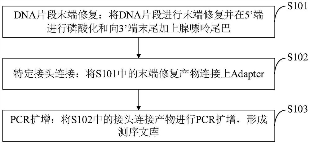 16S rDNA library construction method, 16S rDNA library and application