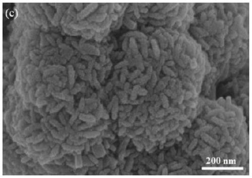 Catalyst for non-carrier high-activity high-selectivity ammoxidation preparation of 2,6-dichlorobenzonitrile, preparation method and applications thereof