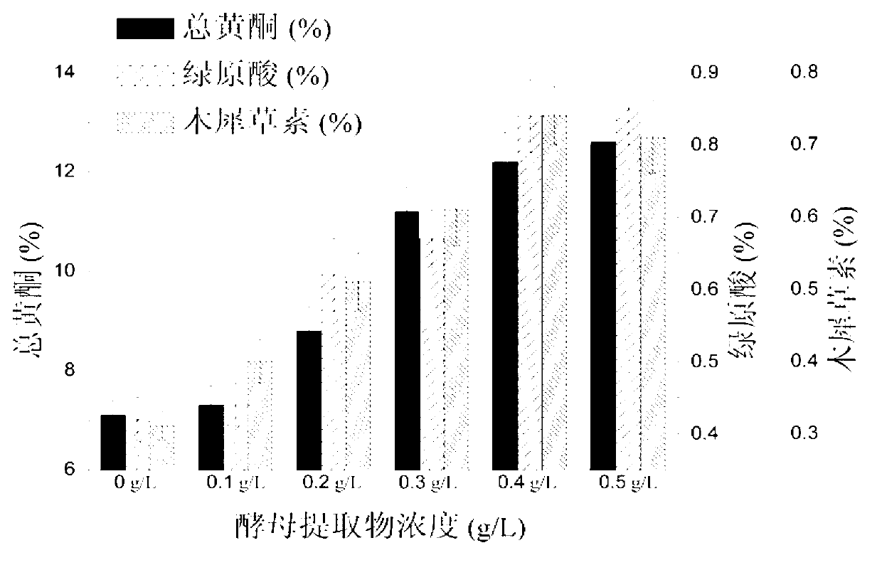 Processing method capable of improving medicinal component content of Hangzhou white chrysanthemums