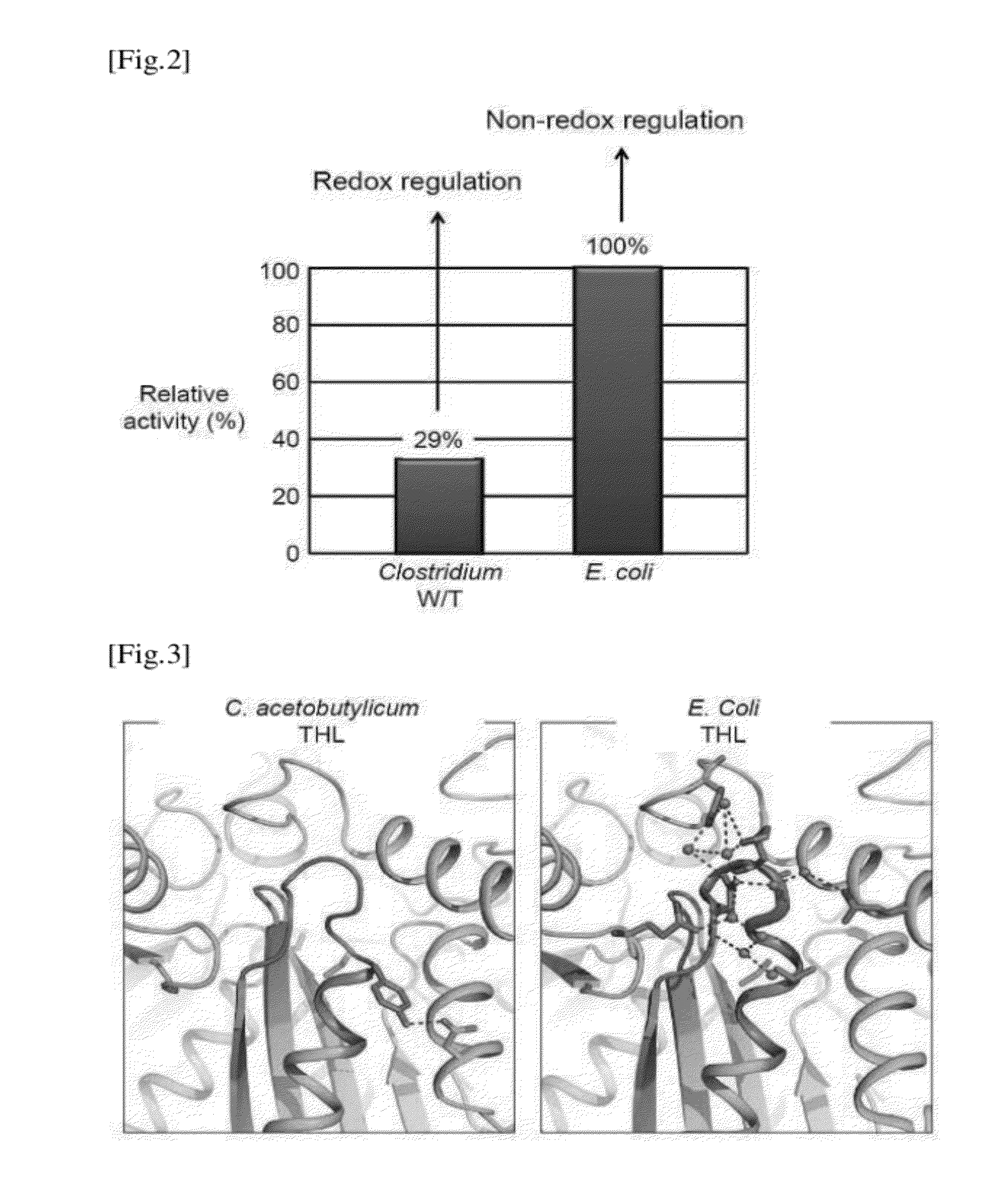 Thiolase with Improved Activity and Method of Producing Biobutanol Using the Same