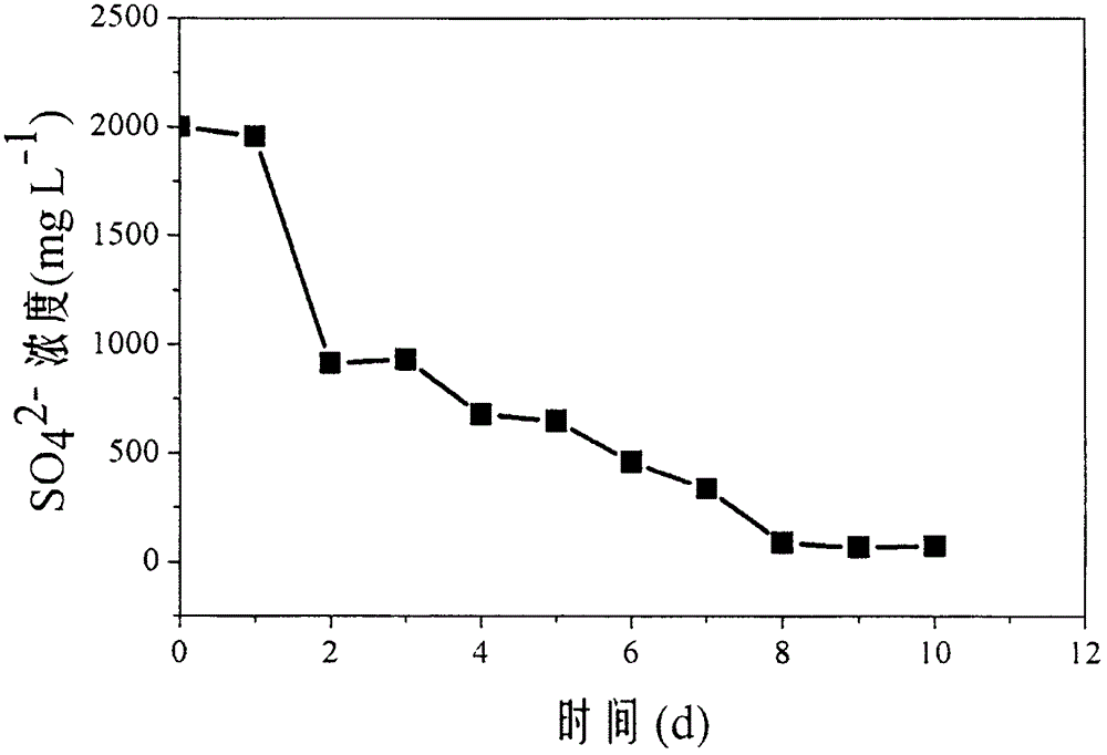 Method of removing sulfate radical and hexavalent chromium from industrial waste water through sulfate reducting bacteria activated sludge-[alpha]-Fe2O3 coupling process