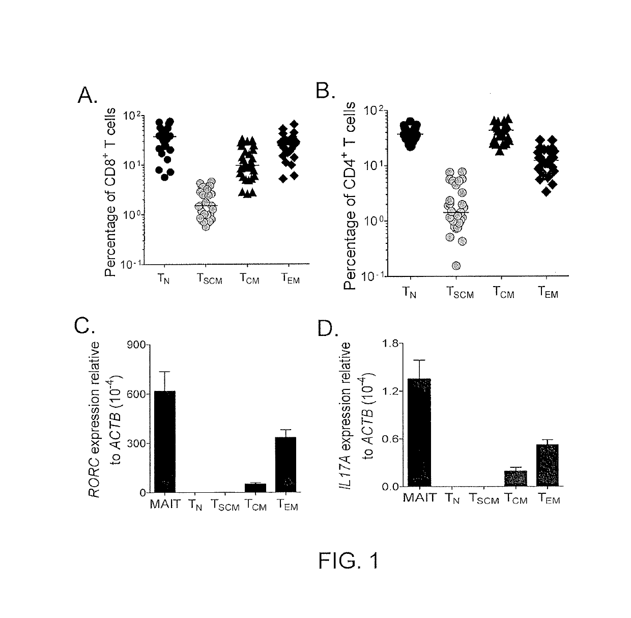 Methods of producing T memory stem cell populations