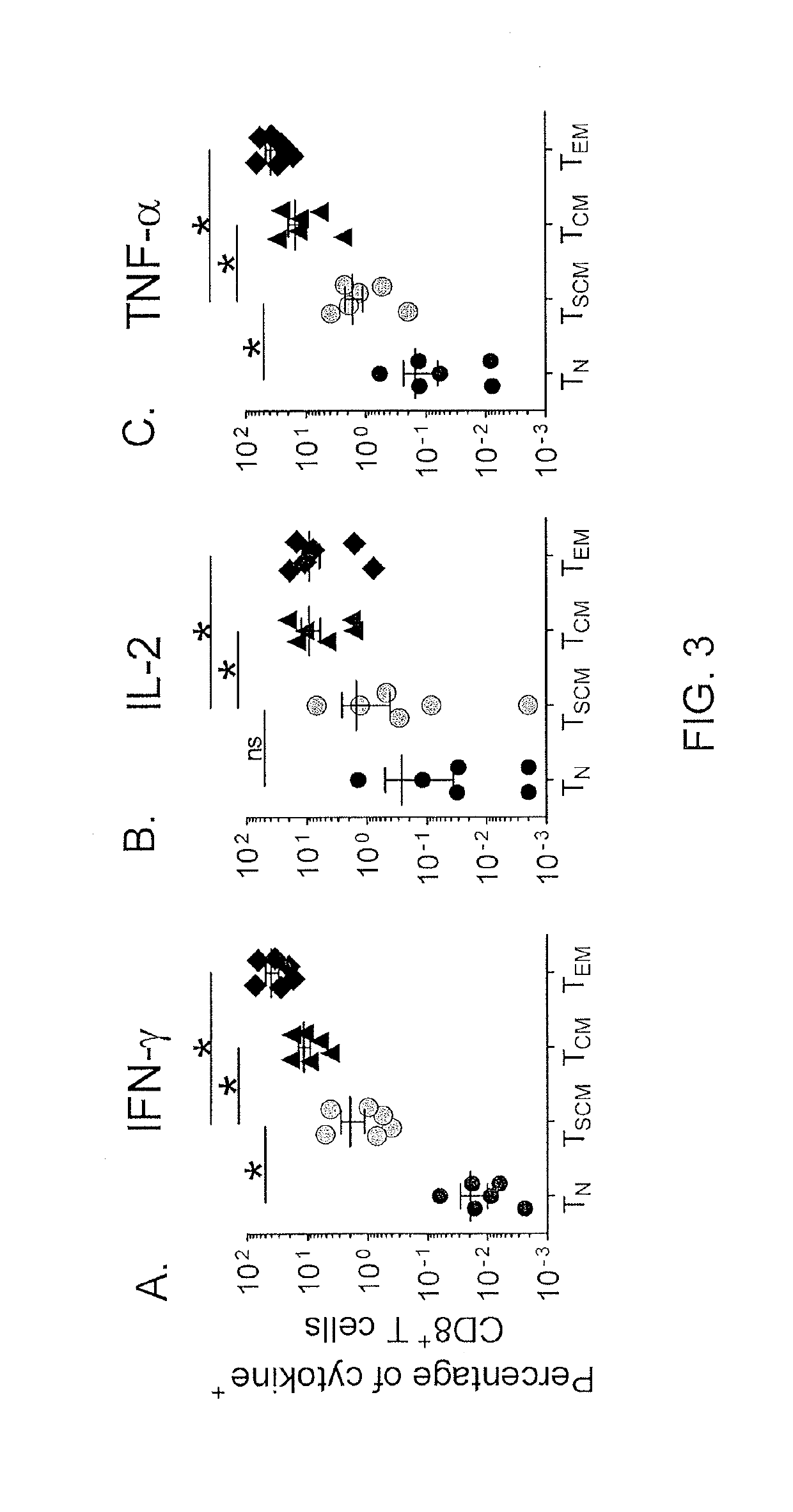 Methods of producing T memory stem cell populations