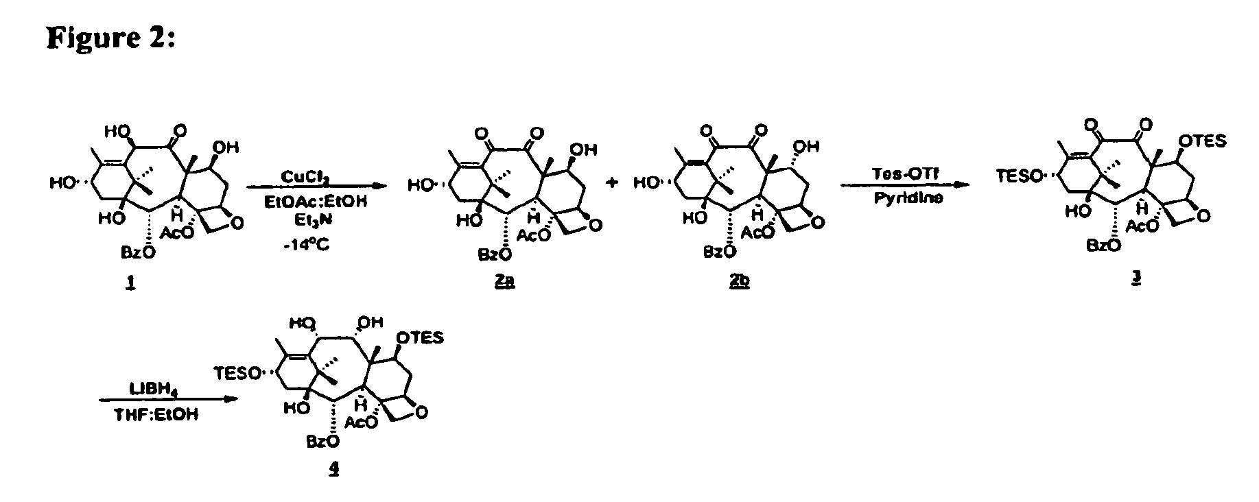 Convergent process for the synthesis of taxane derivatives.