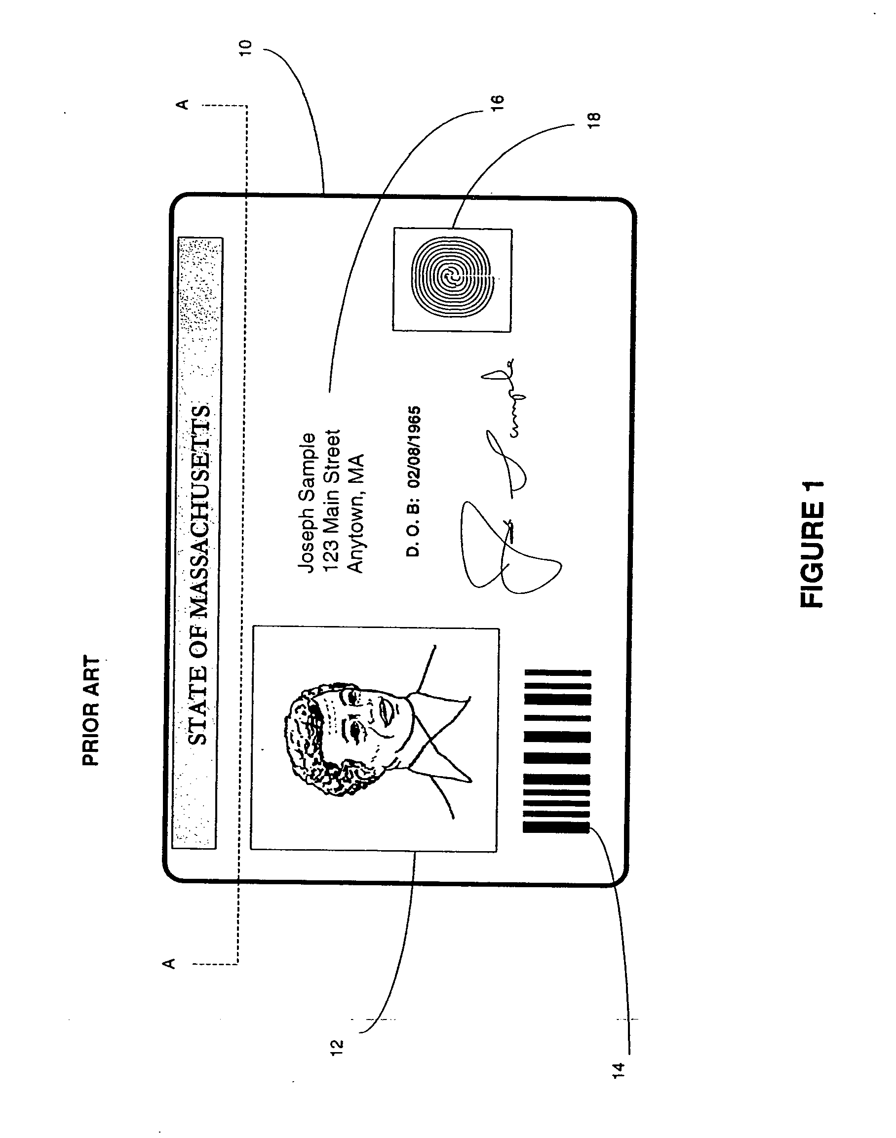 Identification document with three dimensional image of bearer