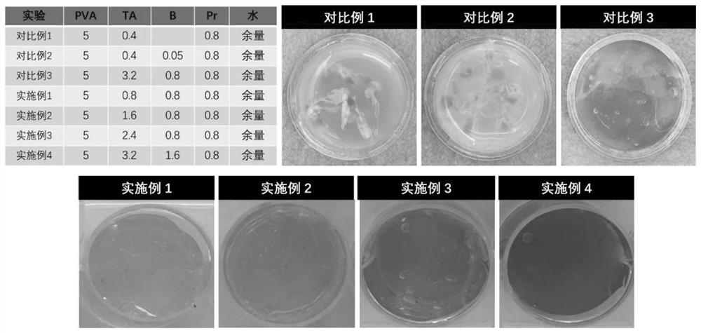 Hydrogel dressing capable of promoting wound healing