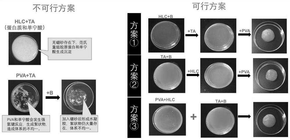 Hydrogel dressing capable of promoting wound healing