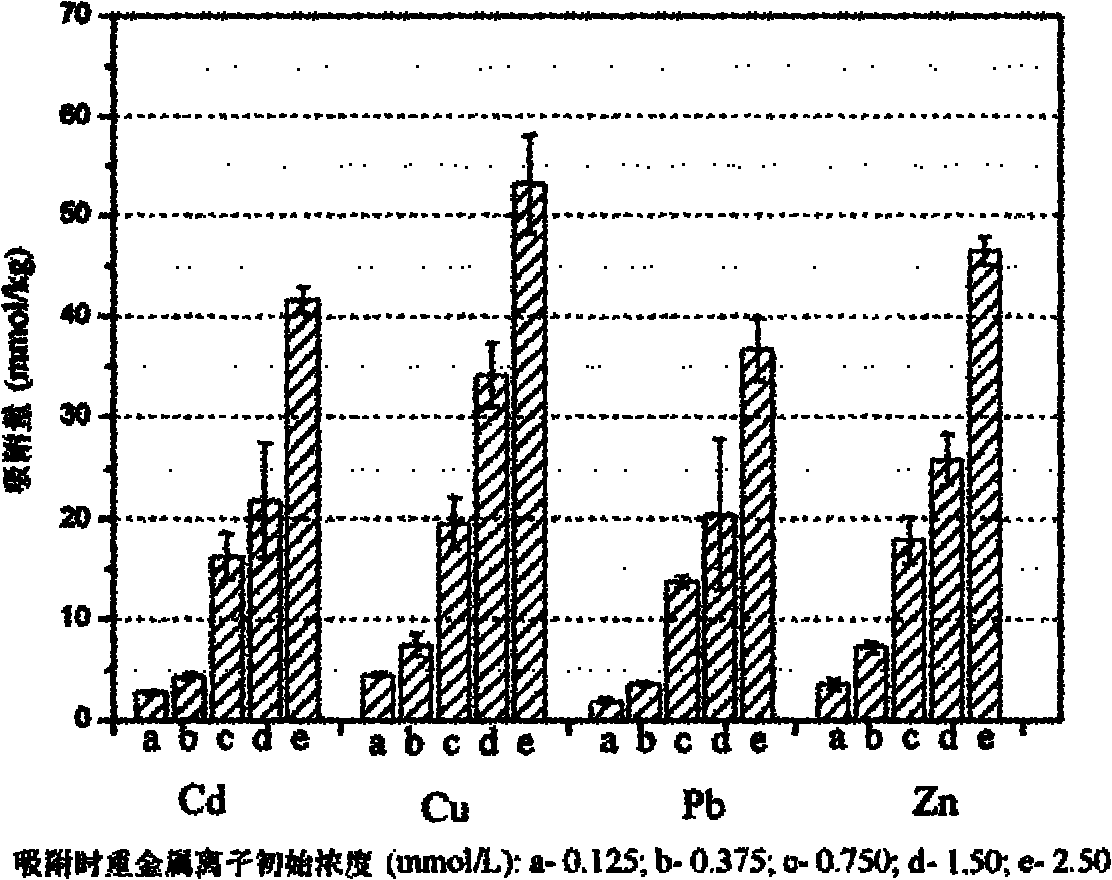 Modified chitosan material capable of absorbing heavy metal ions and preparation method thereof