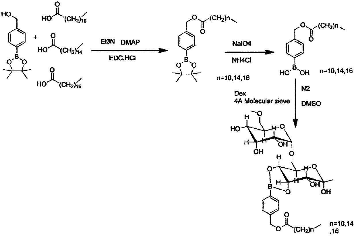 A kind of dextran polymer, polymer micelle and drug carrier system