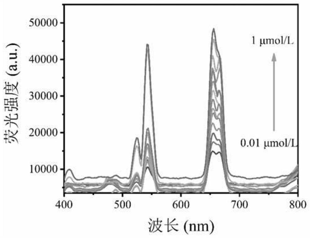 Method for high-sensitivity detection of thiamphenicol based on up-conversion nano material off-on type fluorescence sensor
