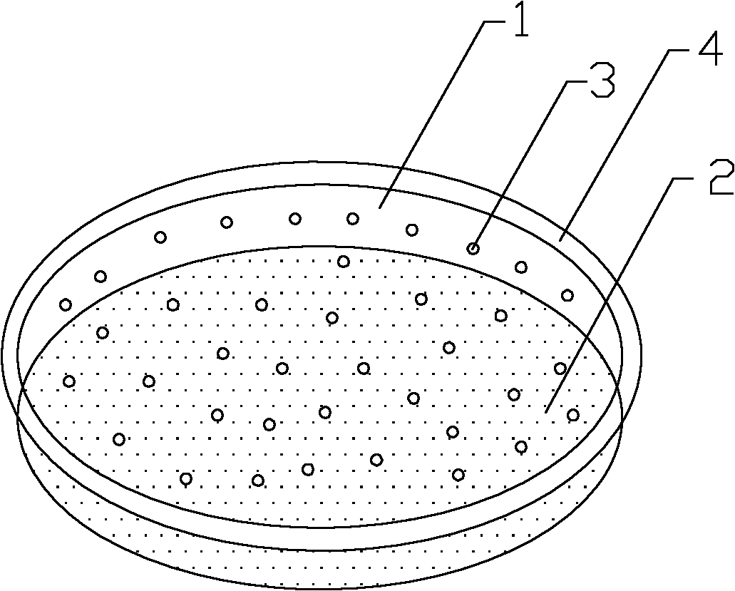 Culture device for white fly and tetranychid mite feeding experiment and method for conducting experiment using same