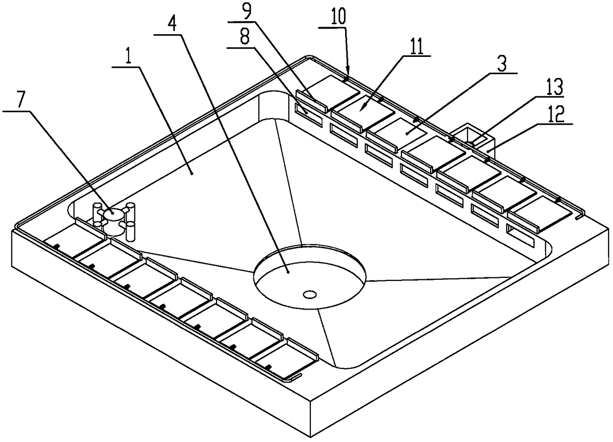 Andrias outdoor ecological breeding pond and breeding method