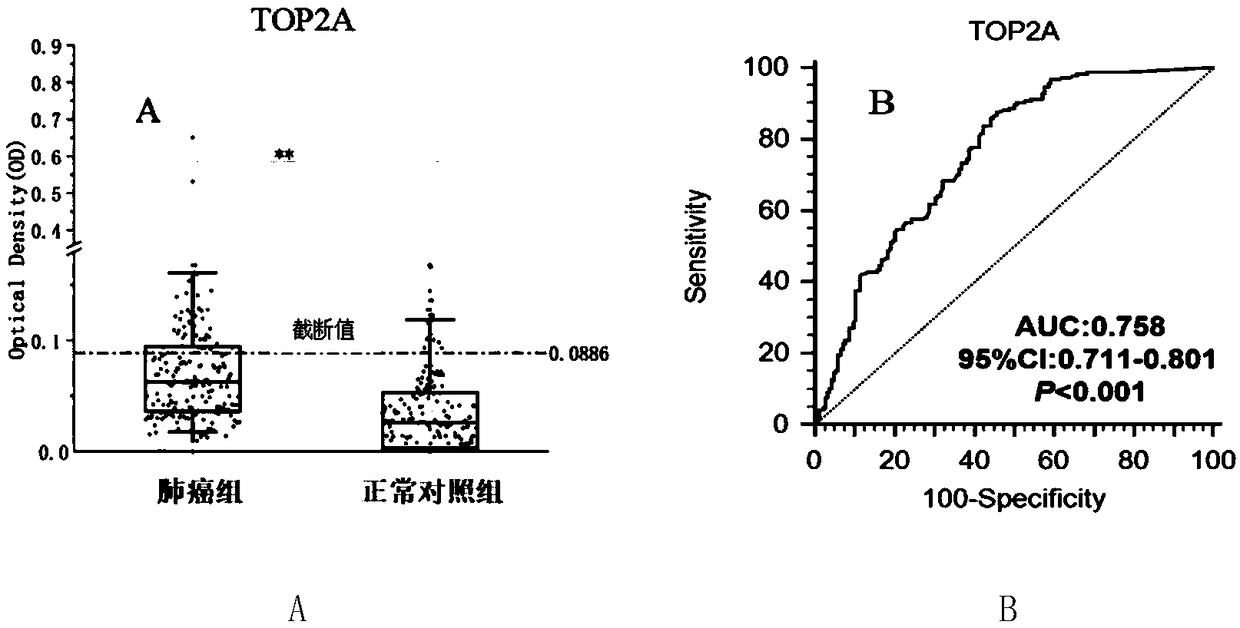 Application of TOP2A (Topoisomerase(DNA)II Alpha) autoantibody as lung cancer diagnostic marker
