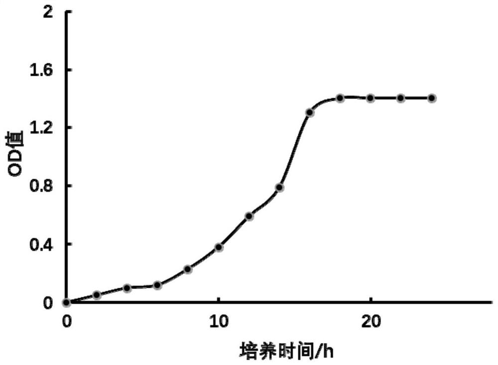 Fermented milk powder and preparation method thereof
