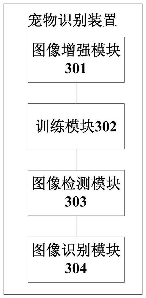 Pet recognition method, device and equipment and computer readable storage medium