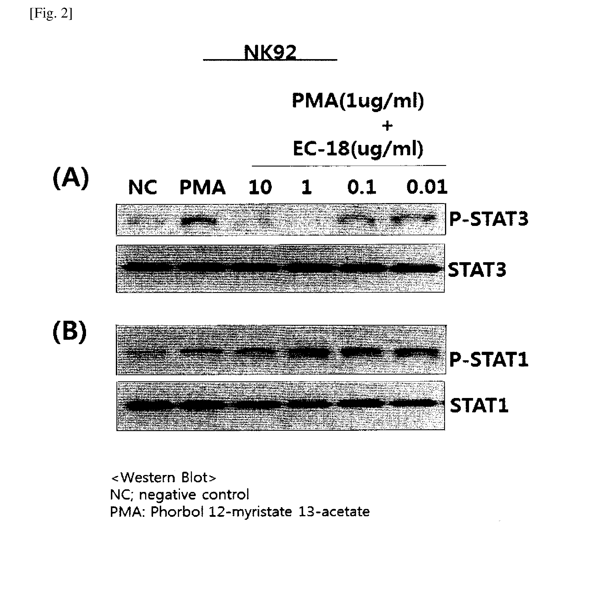 Compositions containing monoacetyldiacylglycerol compound as an active ingredient for preventing or treating rheumatoid arthritis