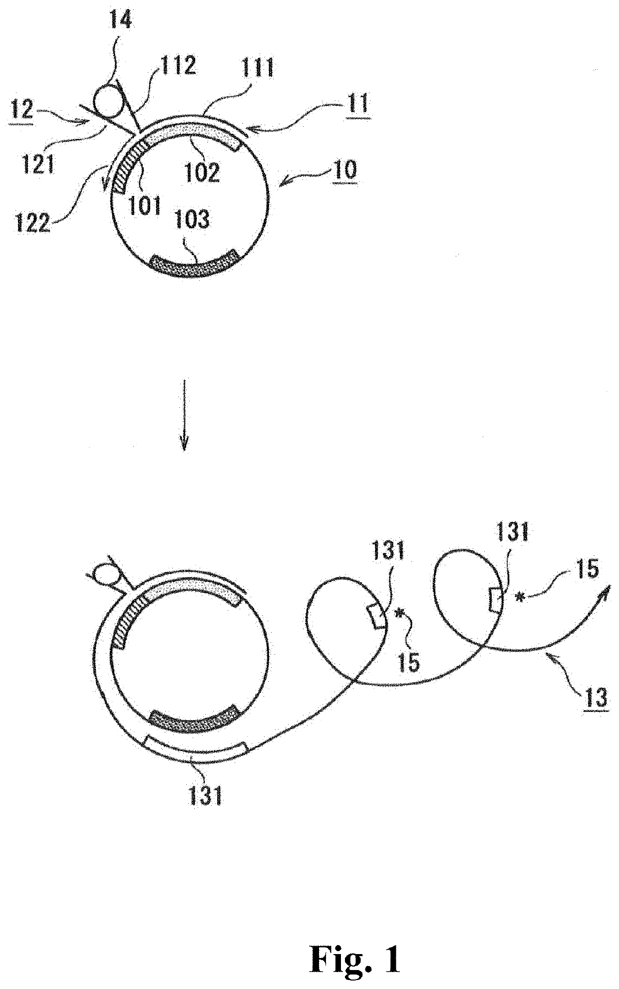 Method for detecting target molecule in which rolling circle amplification is used